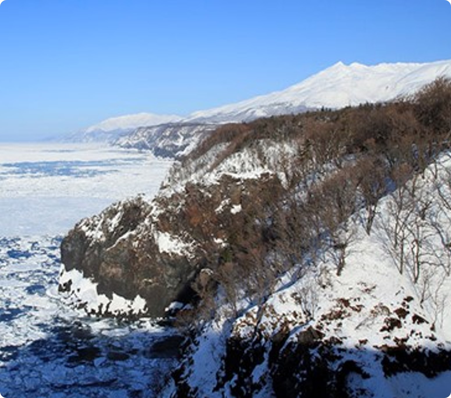 原始森林雪鞋健行