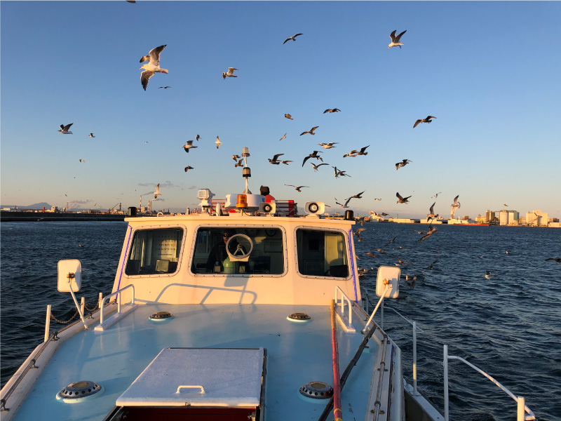 Sunset Cruise