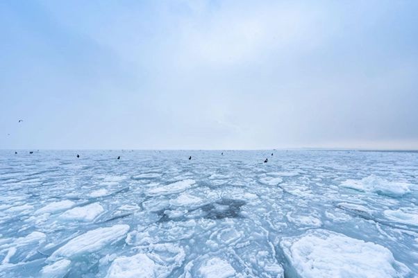 The drift ice that flows from the Sea of Okhotsk