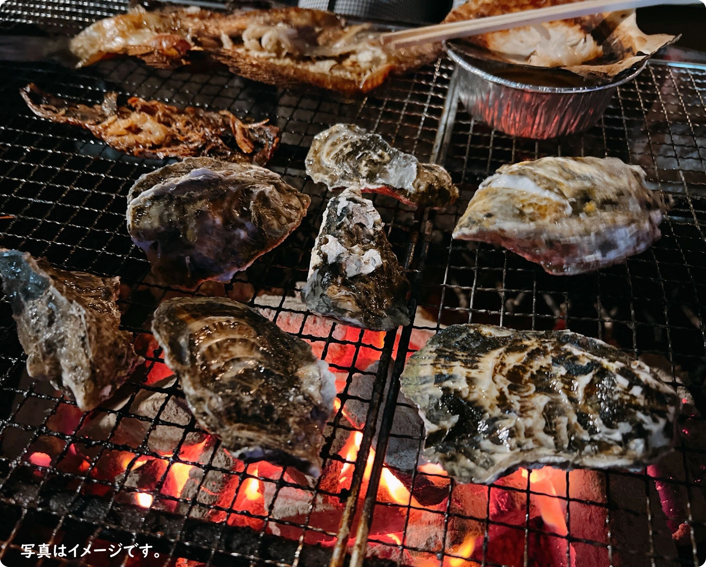 Robata Akari
