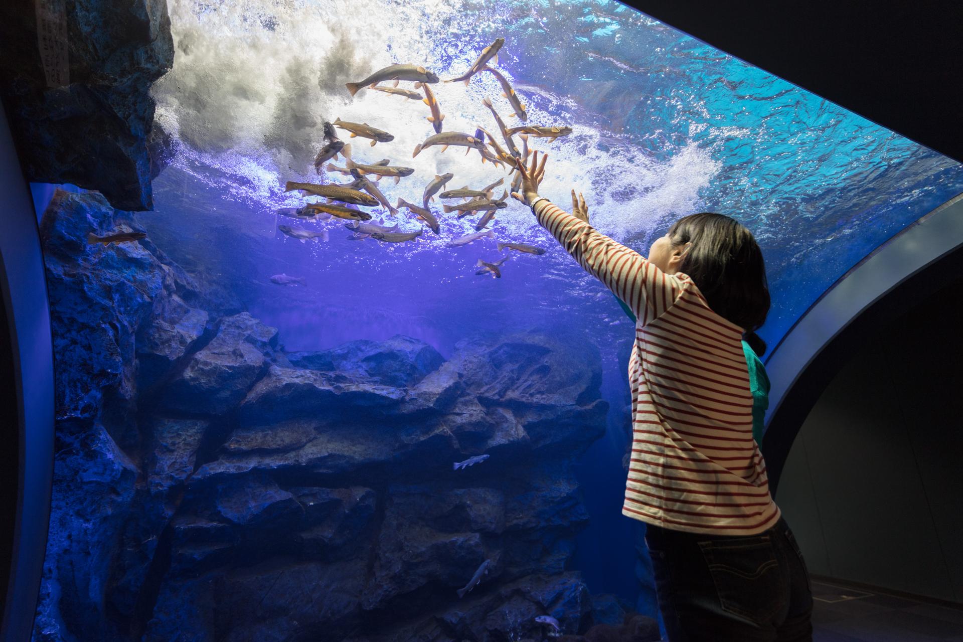 北の大地の水族館