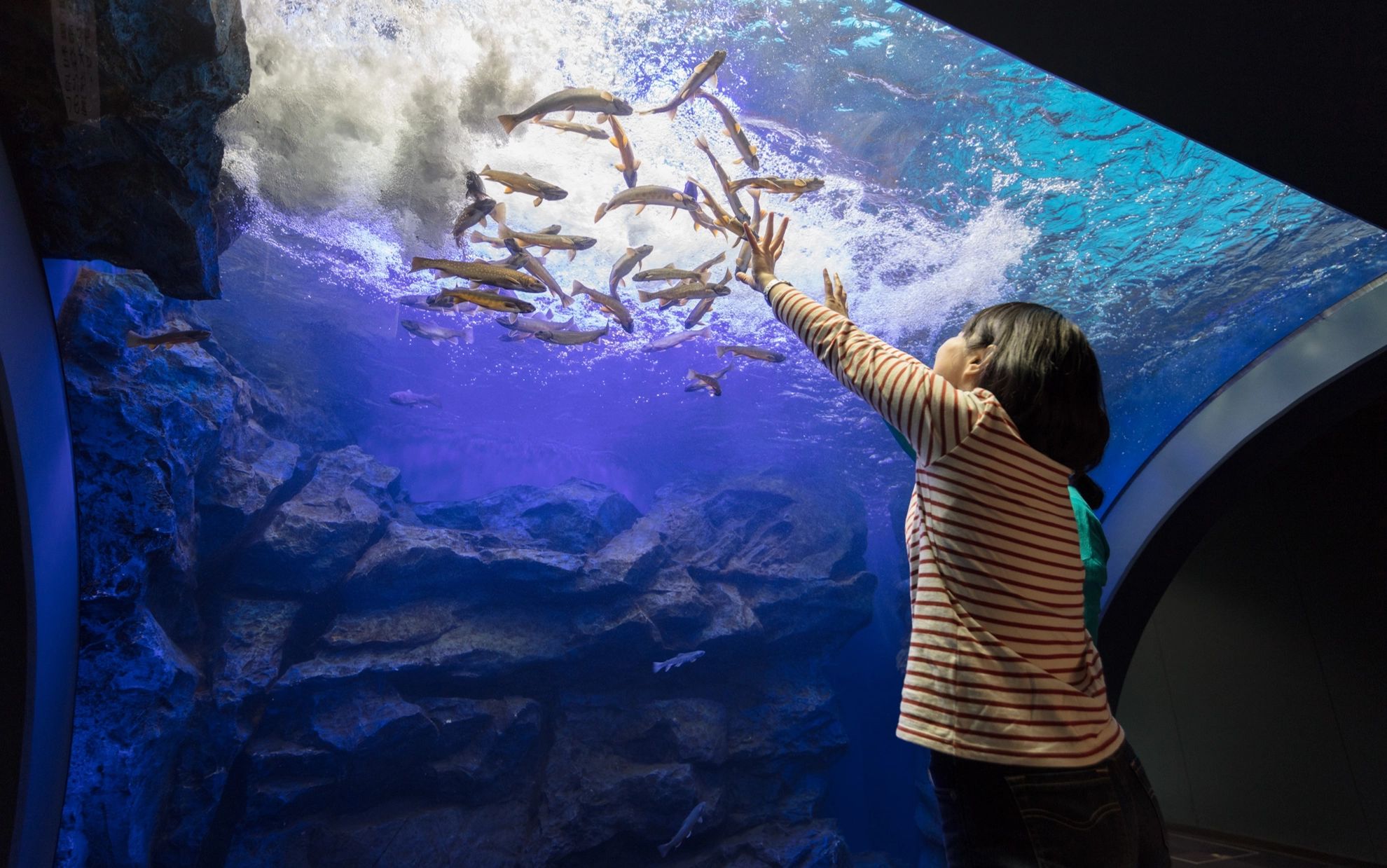 北の大地の水族館