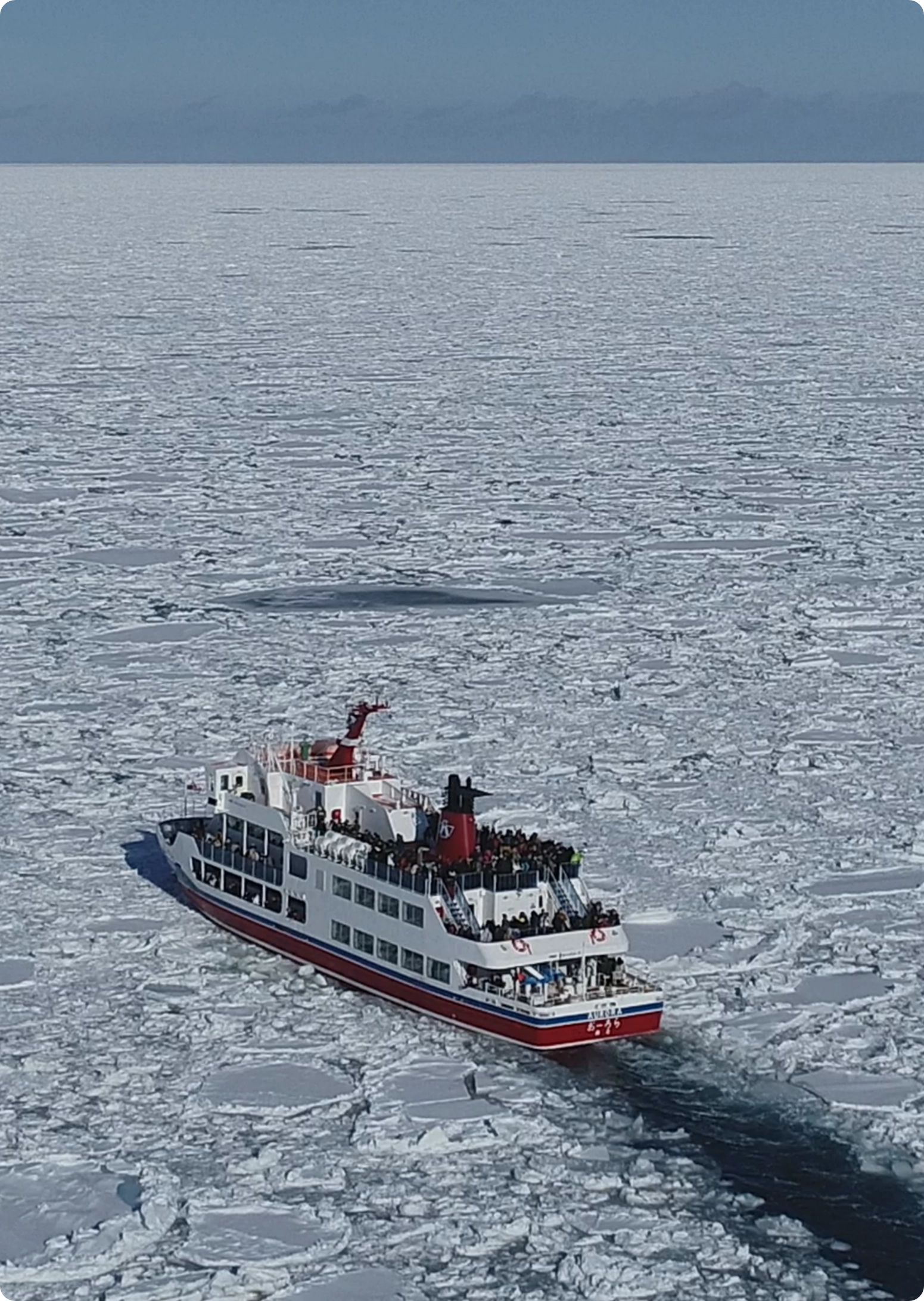 流氷を砕きながら進む砕氷船おーろら