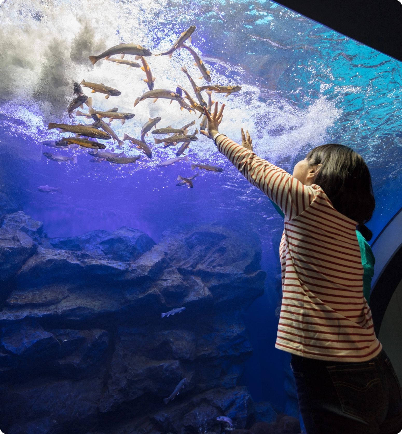 北の大地の水族館