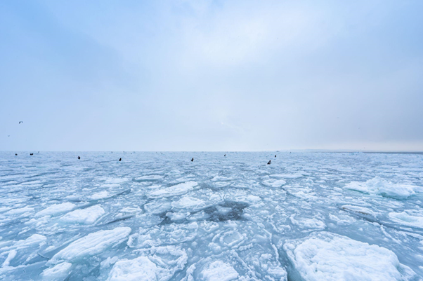 オホーツク海から流れてくる流氷